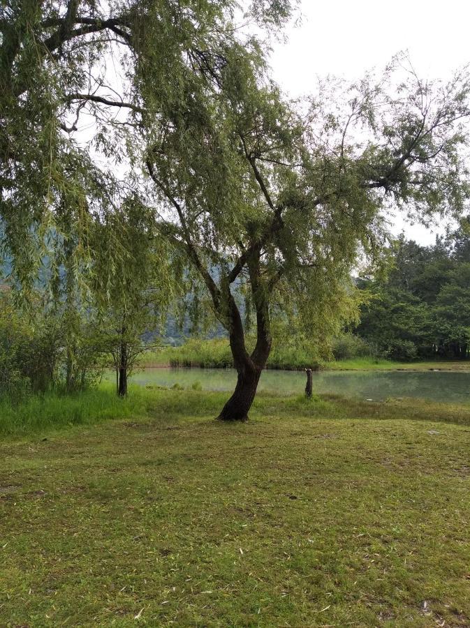 Ferienwohnung Tra La Stazione E Il Lago Verbania Exterior foto